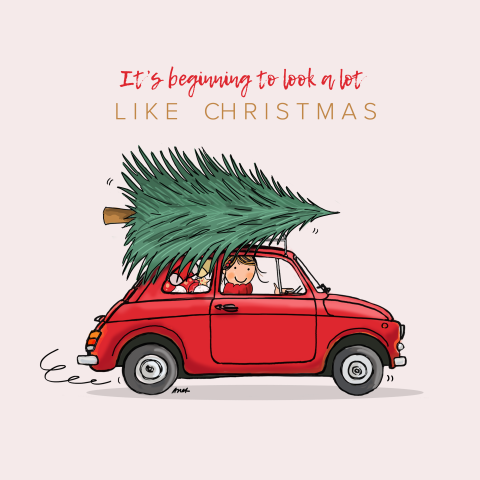 Fiat 500 met kerstboom