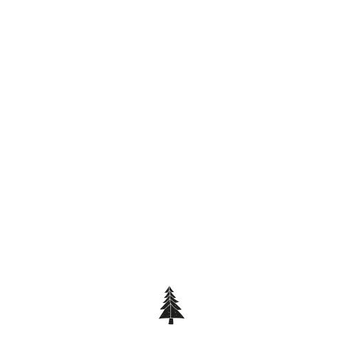 Zwarte kerstbomen op wit
